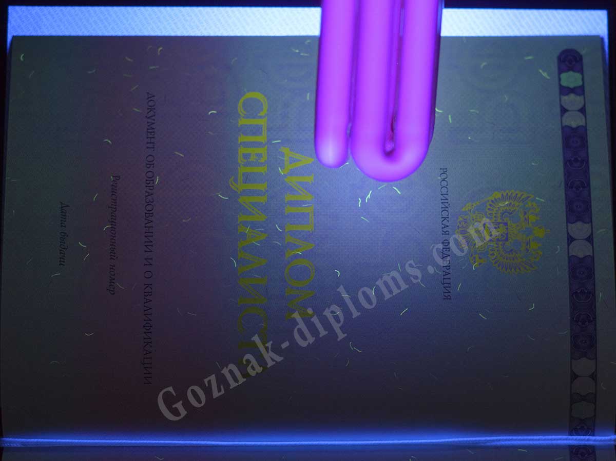 Диплом специалиста 2014-2026